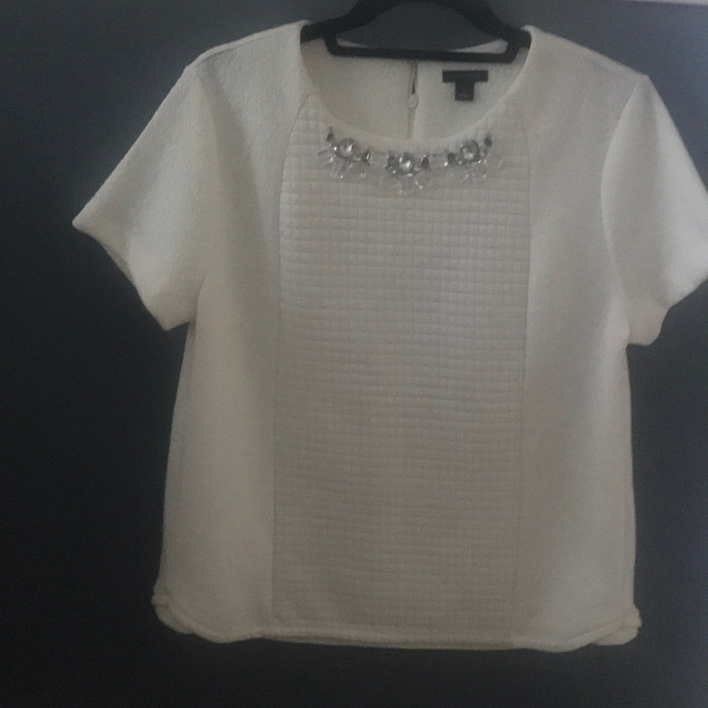 Ann Taylor short sleeved knit top